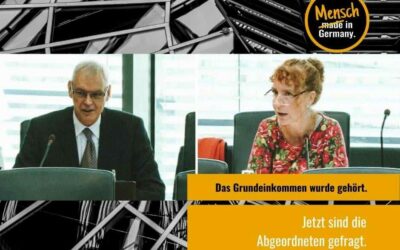 Grundeinkommen im Bundestag